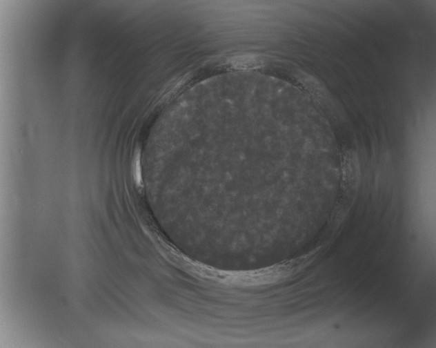 X0000080810046200701122252