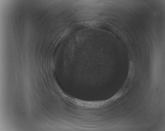 X0000080810048200701122252