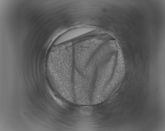 X0000080810050200701122251