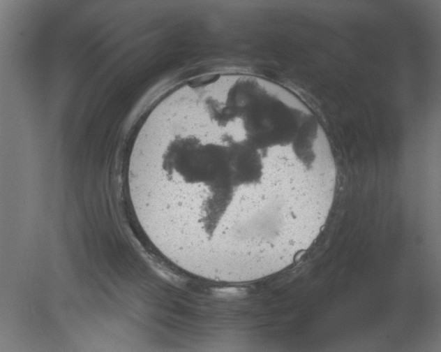 X0000080810053200701122251