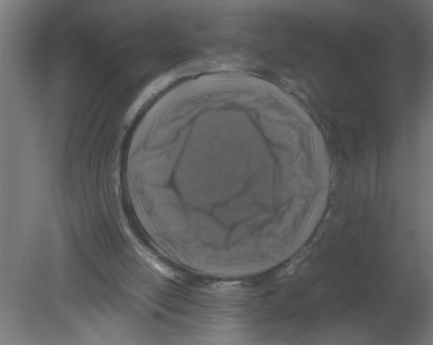 X0000080810054200701122251