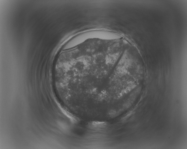 X0000080810055200701122251