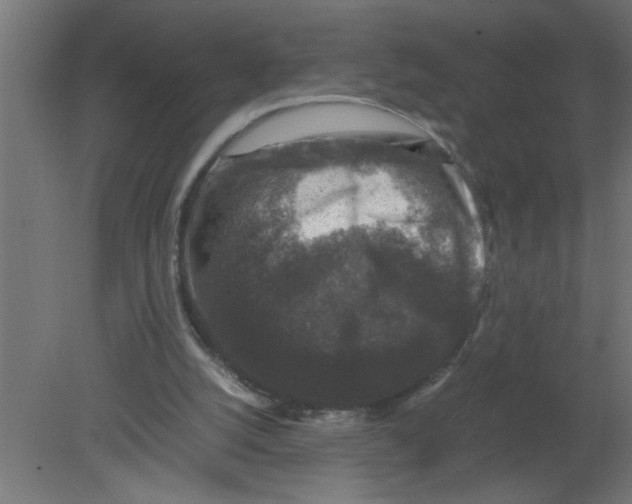 X0000080810056200701122251