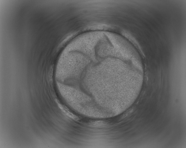 X0000080810058200701122251