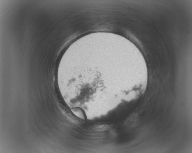 X0000080810059200701122251