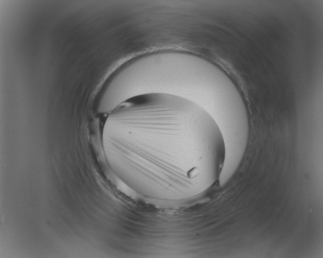 X0000080810060200701122251