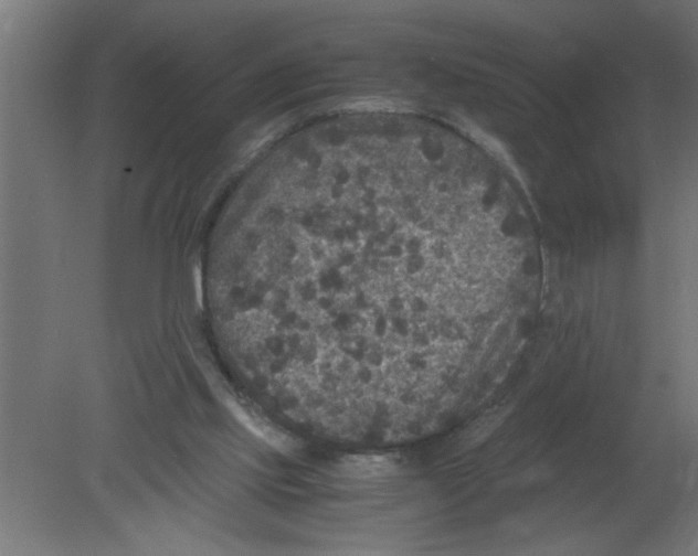 X0000080810061200701122251