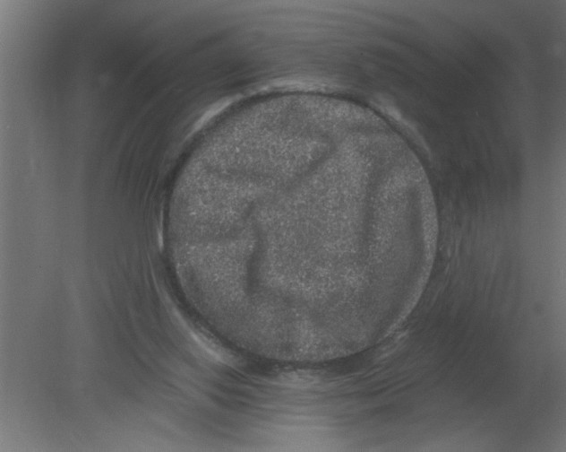 X0000080810062200701122251