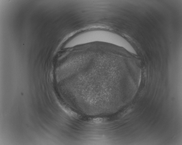 X0000080810064200701122251