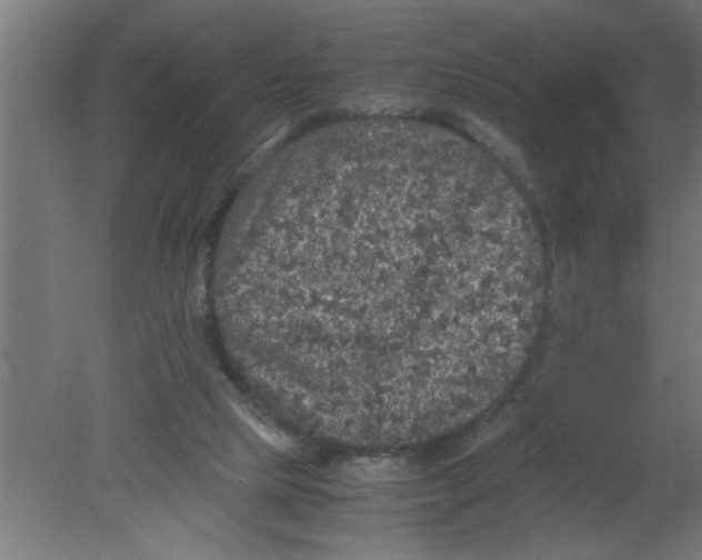 X0000080810065200701122252