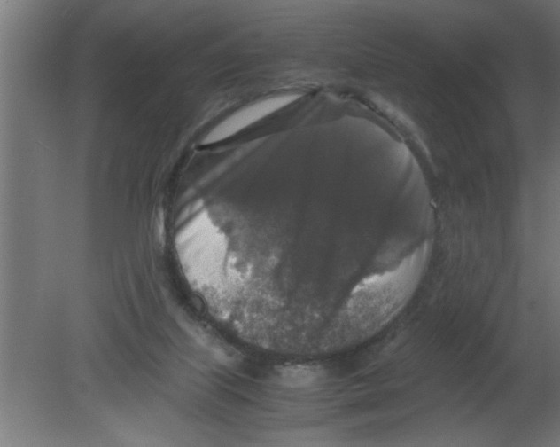 X0000080810067200701122252