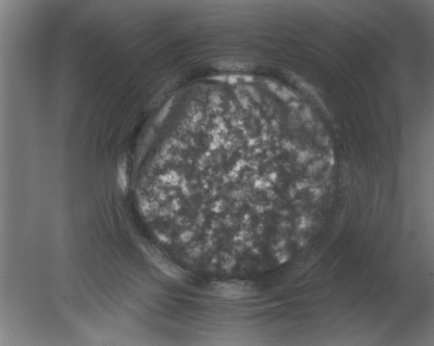 X0000080810069200701122252