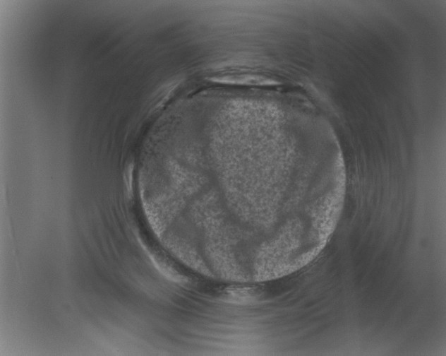 X0000080810070200701122252