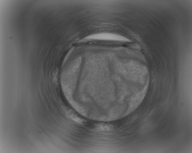 X0000080810073200701122252