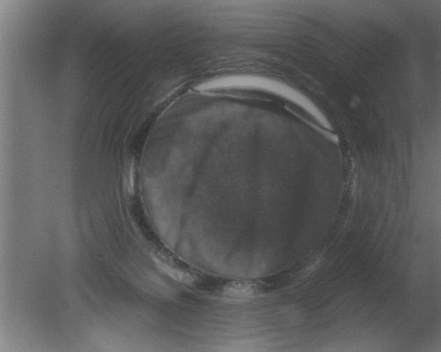 X0000080810076200701122252