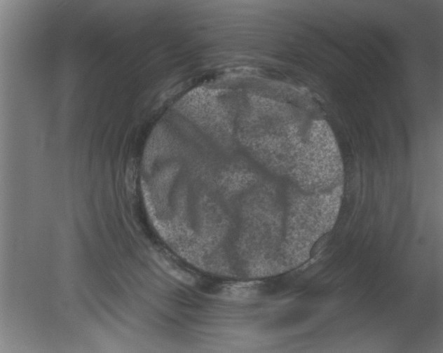 X0000080810078200701122252