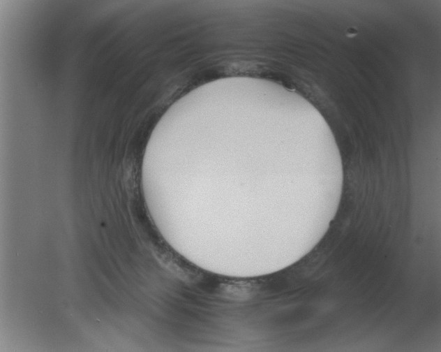 X0000080810079200701122252