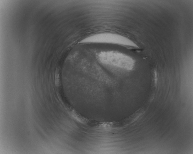 X0000080810080200701122252