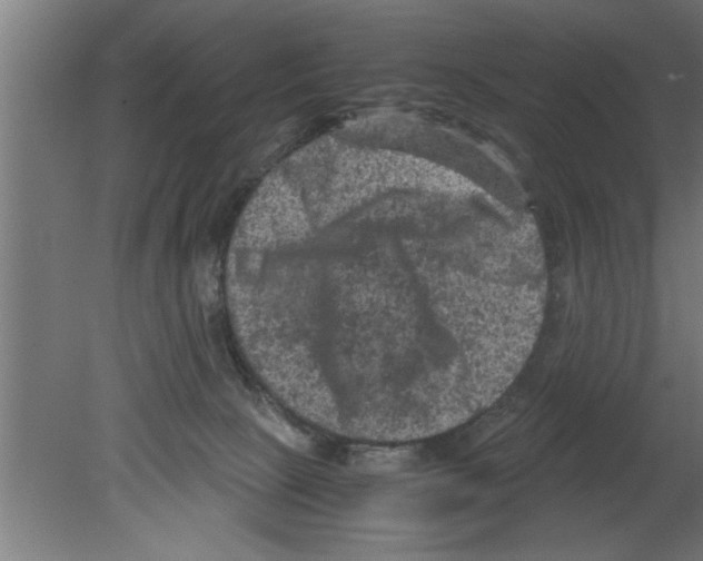 X0000080810081200701122252