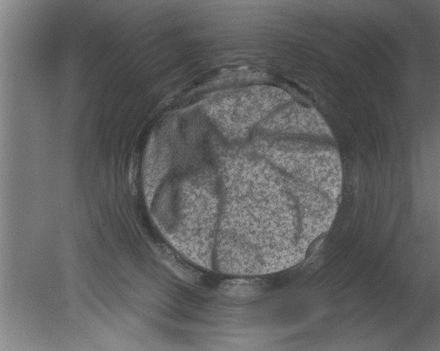 X0000080810082200701122252