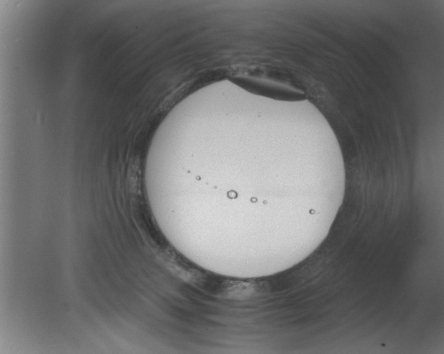 X0000080810083200701122252