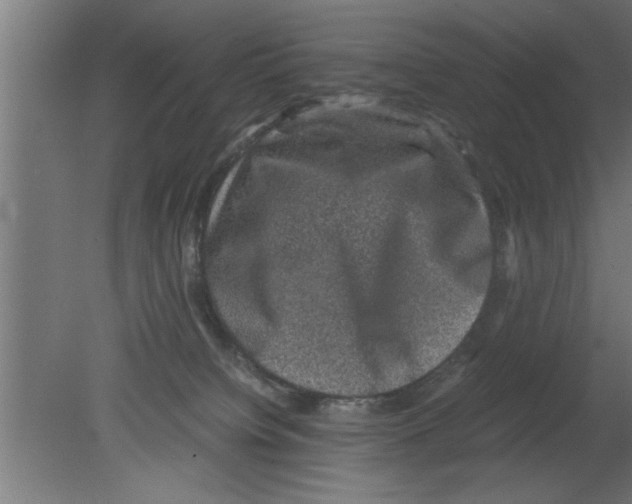 X0000080810084200701122252