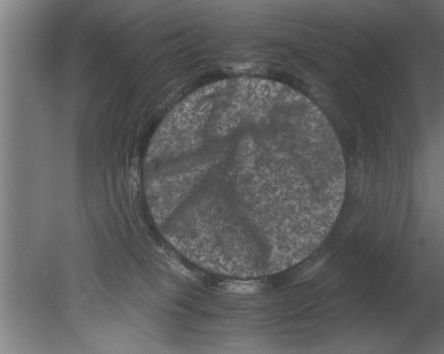 X0000080810085200701122252