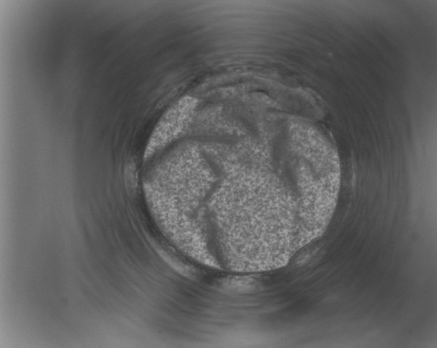 X0000080810086200701122252