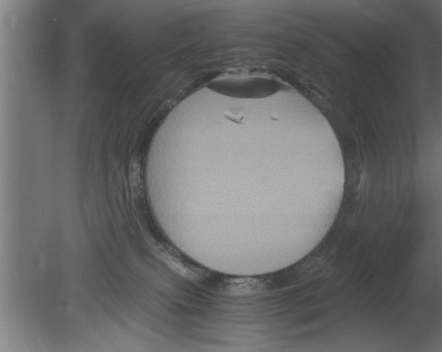 X0000080810087200701122252