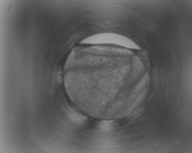 X0000080810090200701122252