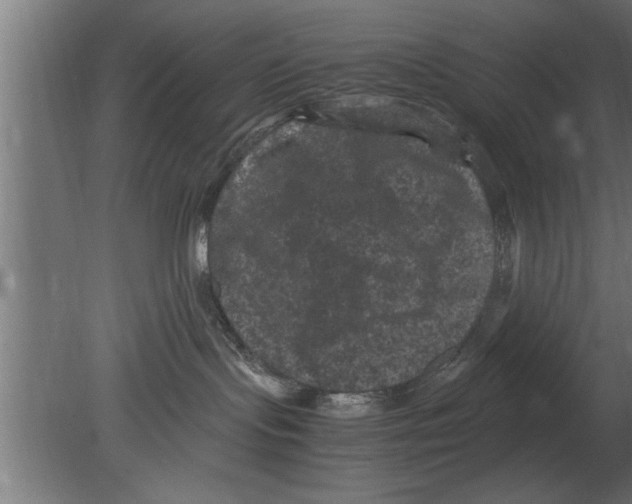 X0000080810095200701122252