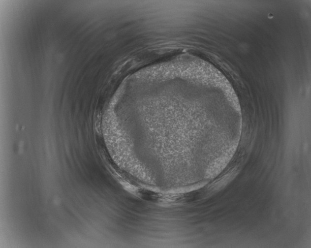 X0000080810096200701122252