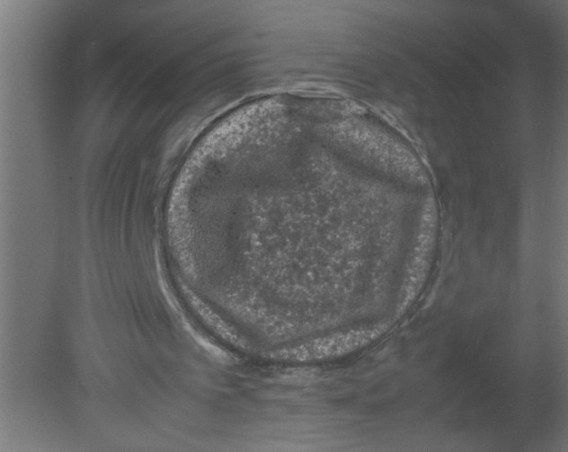 X0000080810097200701122251