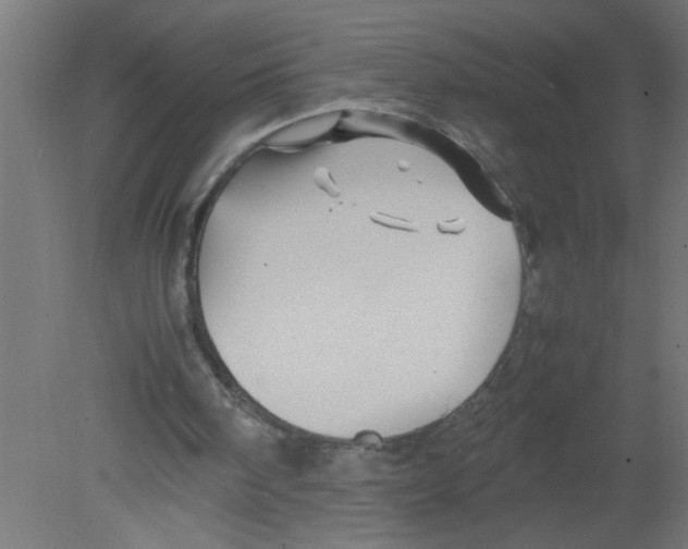 X0000080810098200701122251