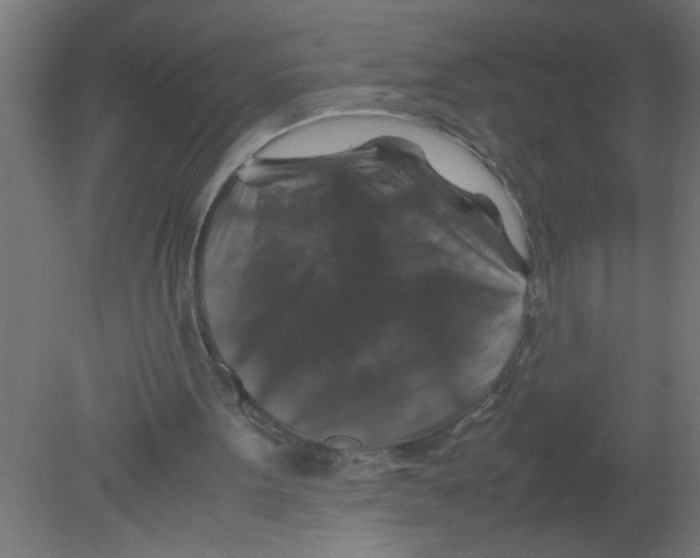 X0000080810099200701122251