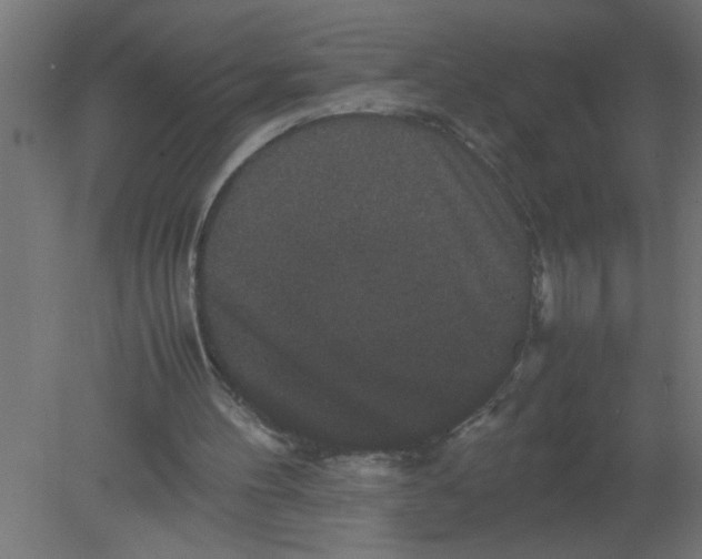 X0000080810100200701122251