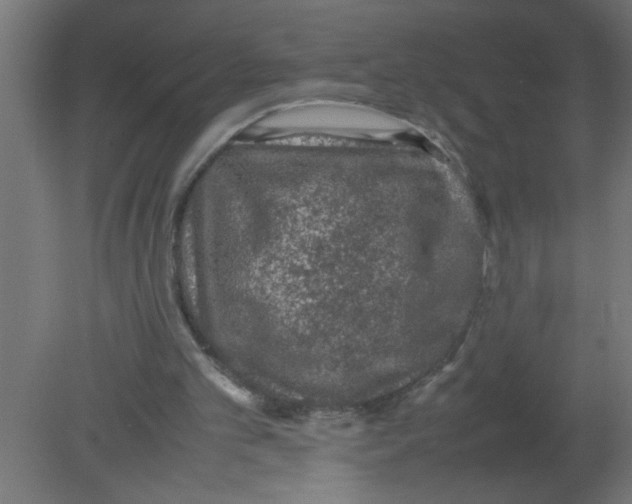 X0000080810101200701122251