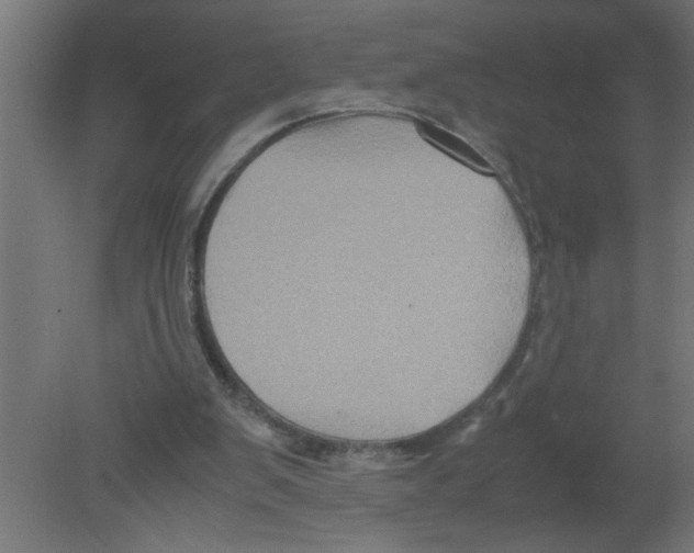 X0000080810103200701122251