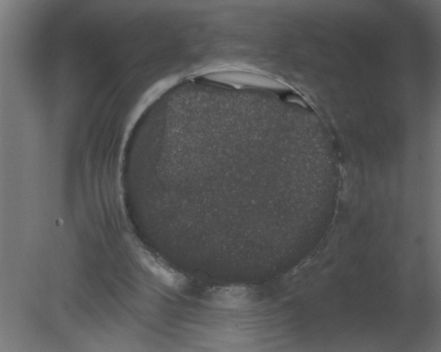 X0000080810104200701122251