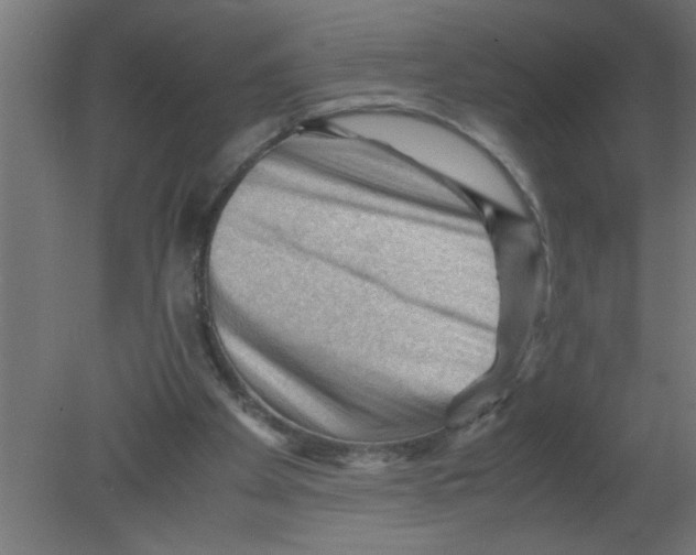 X0000080810105200701122251