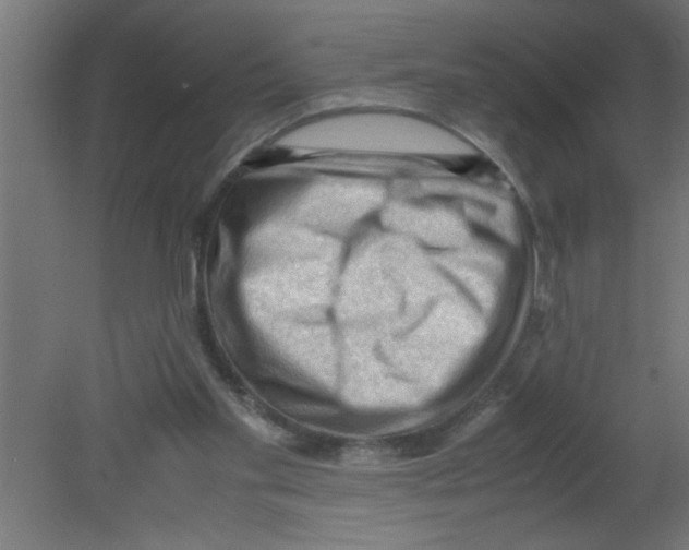 X0000080810109200701122251