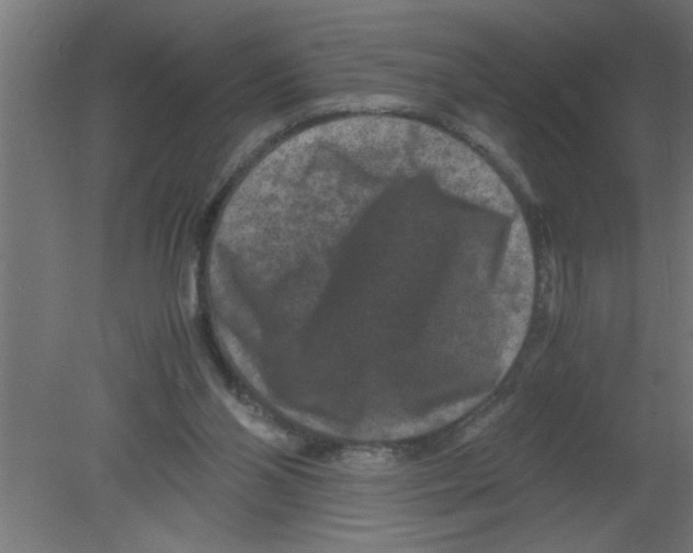 X0000080810110200701122251