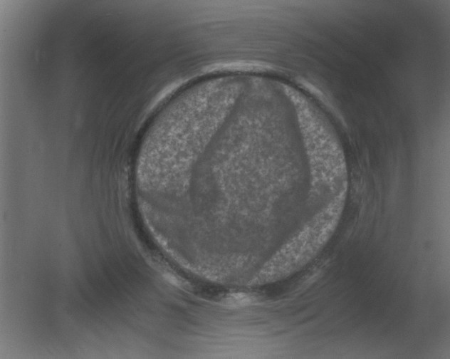 X0000080810111200701122251