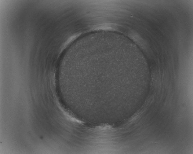 X0000080810112200701122251