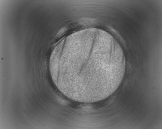 X0000080810113200701122251