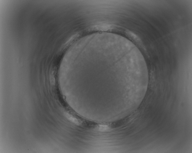 X0000080810114200701122251