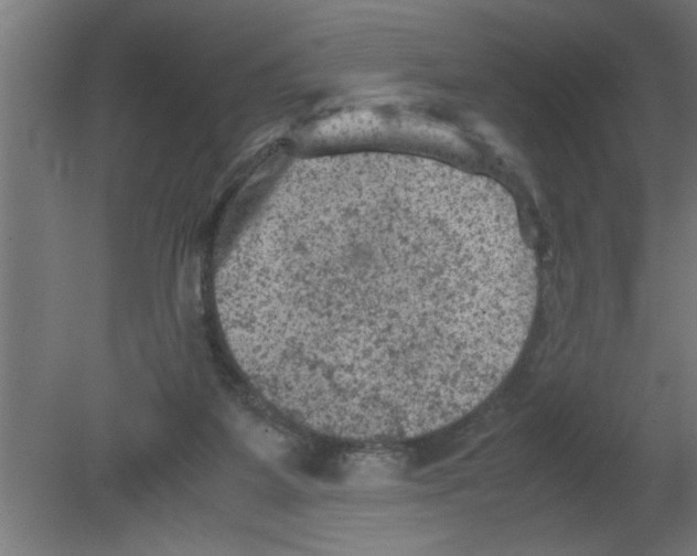 X0000080810115200701122251