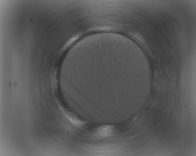 X0000080810116200701122251