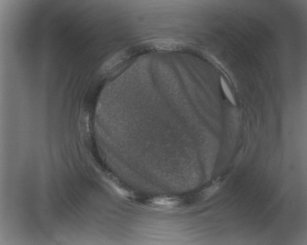 X0000080810117200701122251