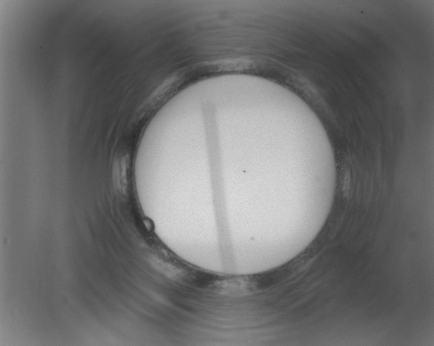 X0000080810118200701122251